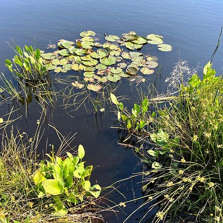 Landzicht Natuur Rust En Ruimte Villa Oosterwolde  Kültér fotó