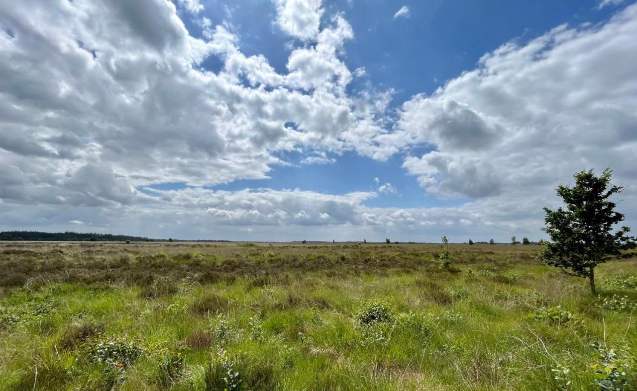 Landzicht Natuur Rust En Ruimte Villa Oosterwolde  Kültér fotó