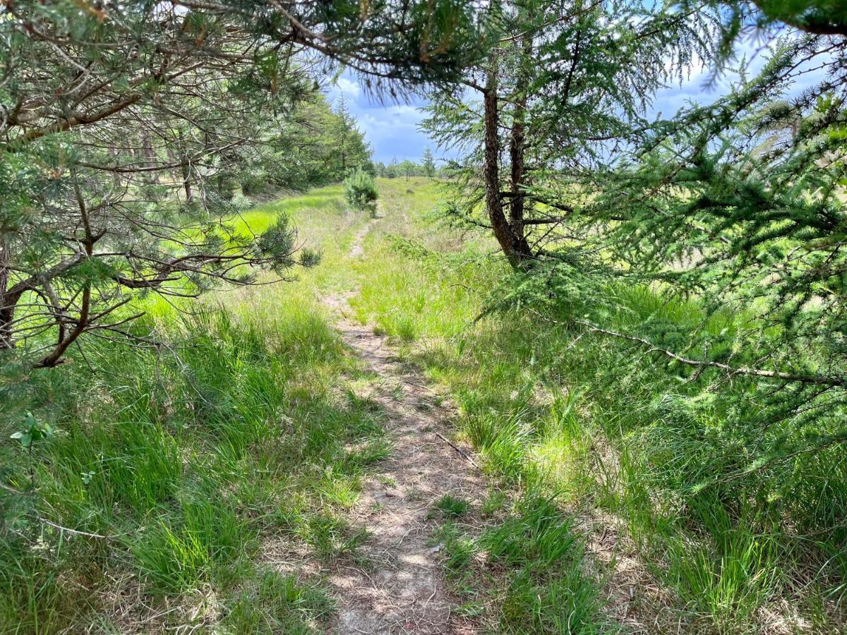 Landzicht Natuur Rust En Ruimte Villa Oosterwolde  Kültér fotó