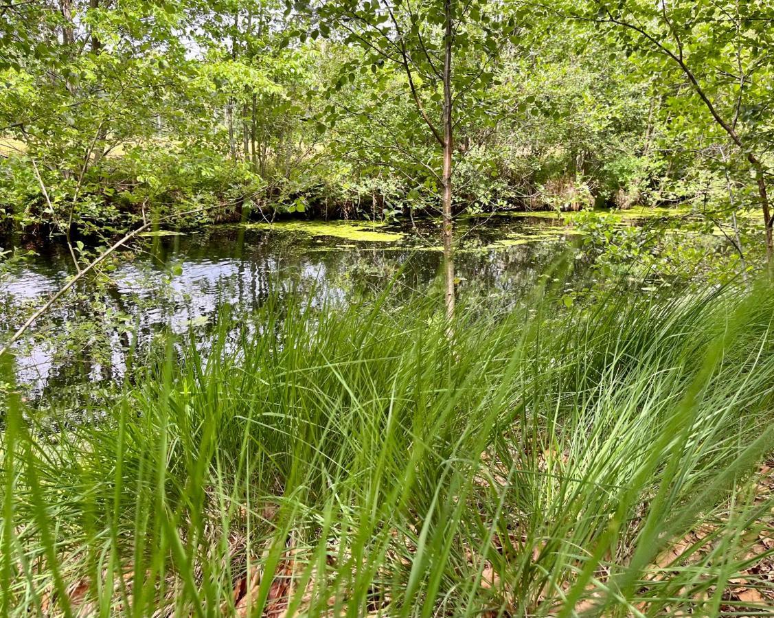 Landzicht Natuur Rust En Ruimte Villa Oosterwolde  Kültér fotó