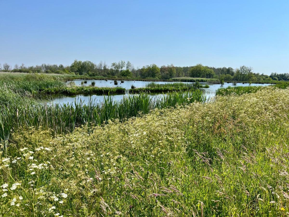 Landzicht Natuur Rust En Ruimte Villa Oosterwolde  Kültér fotó