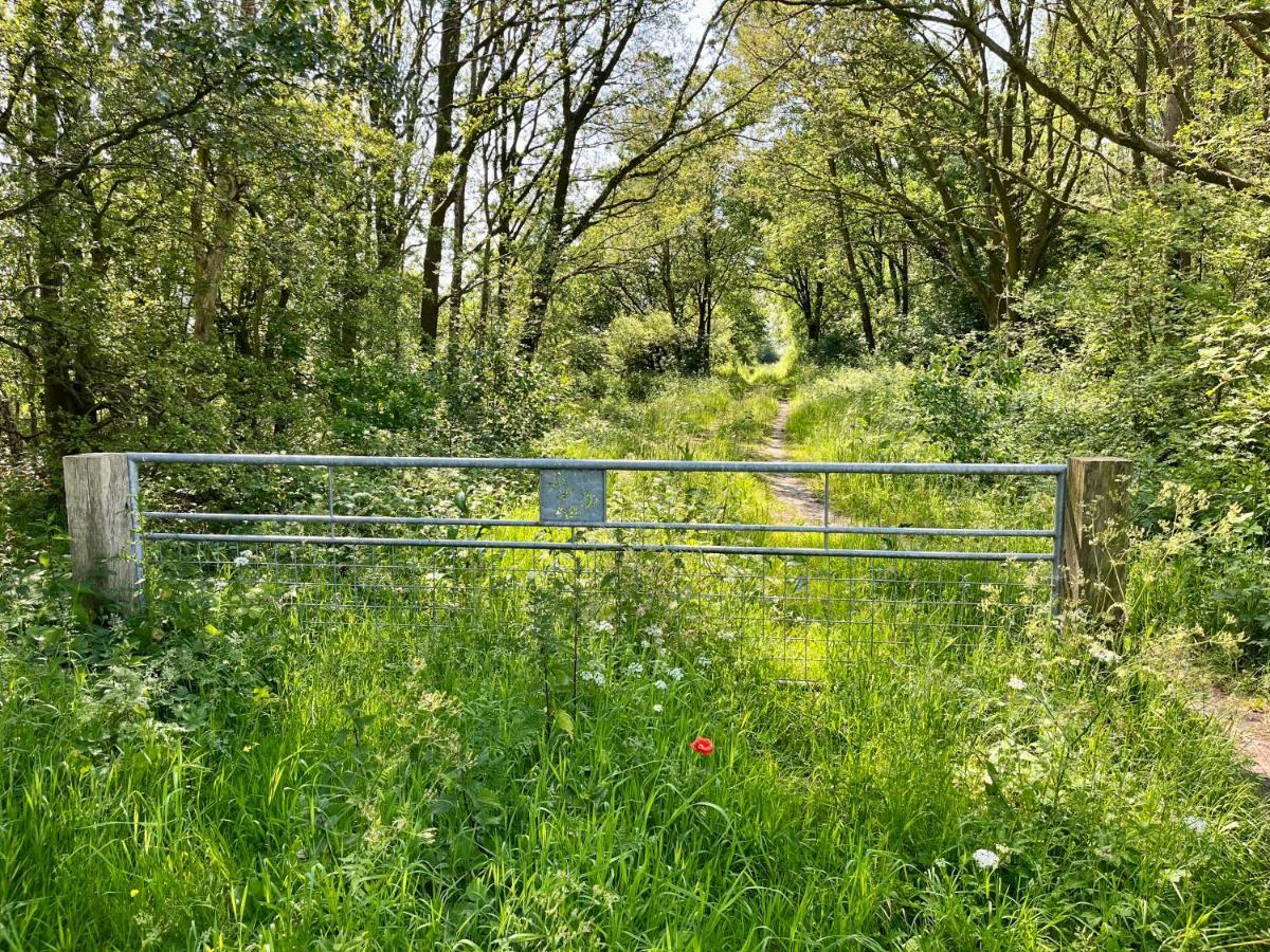 Landzicht Natuur Rust En Ruimte Villa Oosterwolde  Kültér fotó