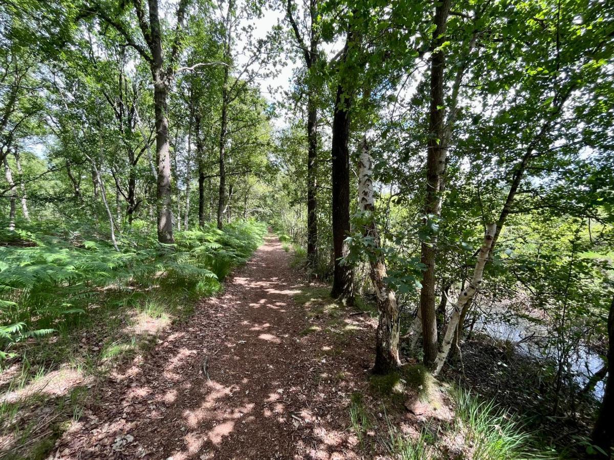 Landzicht Natuur Rust En Ruimte Villa Oosterwolde  Kültér fotó