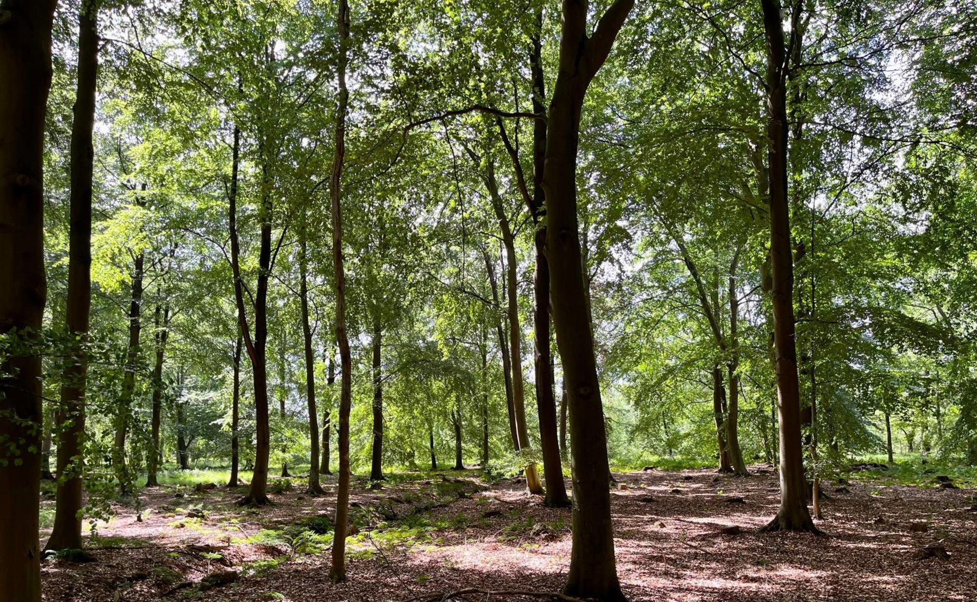 Landzicht Natuur Rust En Ruimte Villa Oosterwolde  Kültér fotó