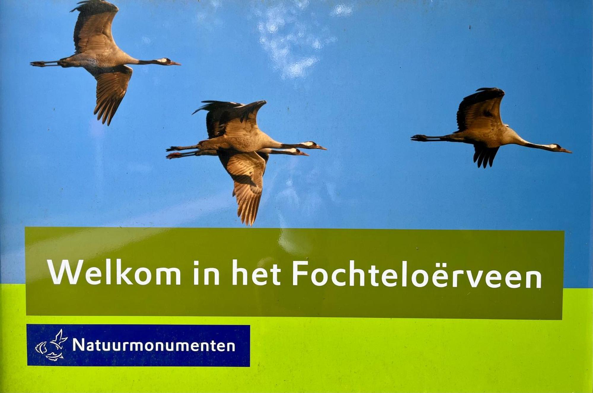Landzicht Natuur Rust En Ruimte Oosterwolde Kültér fotó